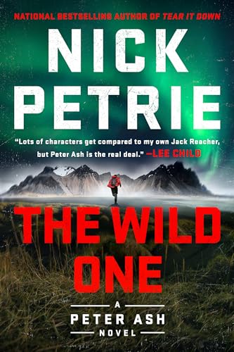 The Wild One (A Peter Ash Novel, Band 5)