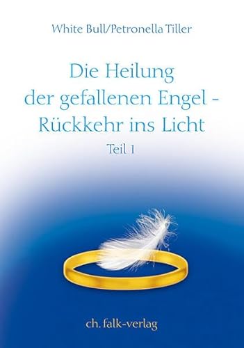 Die Heilung der gefallenen Engel – Rückkehr ins Licht: Teil 1 von Christa Falk Verlag