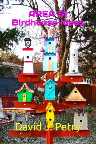 AREA 51 Birdhouse Ideas von Independently published