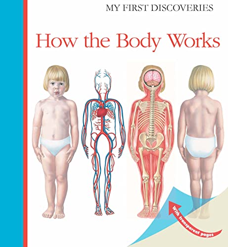 How the Body Works (My First Discoveries) von My First Discoveries