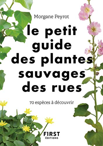 Le Petit guide des plantes sauvages des rues - 70 espèces à découvrir