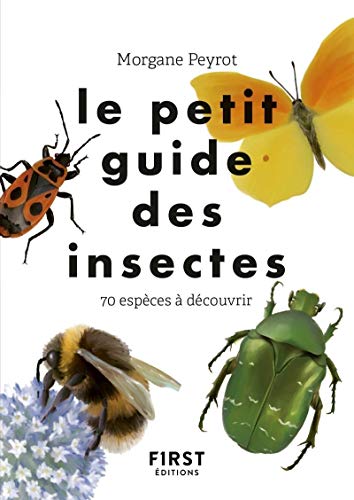 Le Petit guide des insectes: 70 espèces à découvrir von First