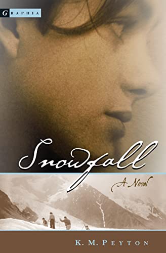 Snowfall von Clarion