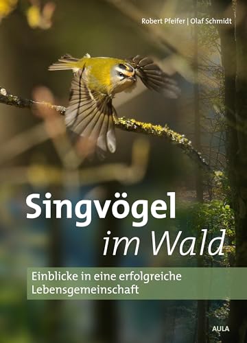 Singvögel im Wald: Einblicke in eine erfolgreiche Lebensgemeinschaft