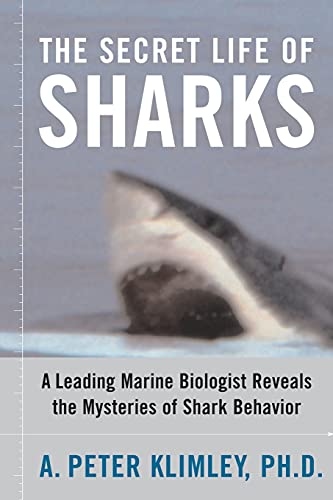 The Secret Life of Sharks: A Leading Marine Biologist Reveals the Mysteries of Shark Behavior von Simon & Schuster