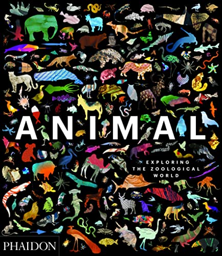 Animal: Exploring the Zoological World