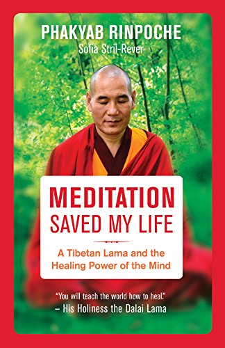 Meditation Saved My Life: A Tibetan Lama and the Healing Power of the Mind von New World Library