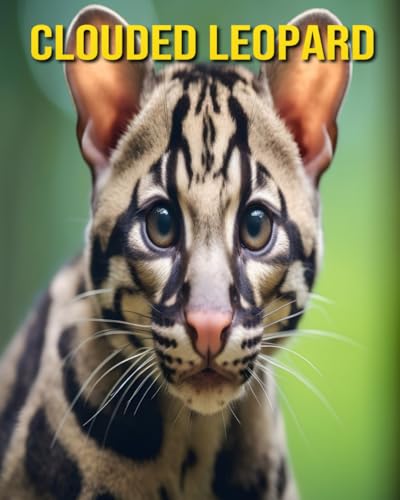 Clouded Leopard: Fun and Amazing Pictures About Clouded Leopard von Independently published