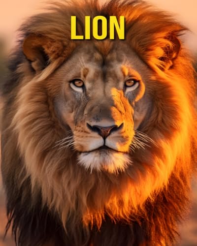 Lion: Fun and Amazing Pictures About Lion von Independently published