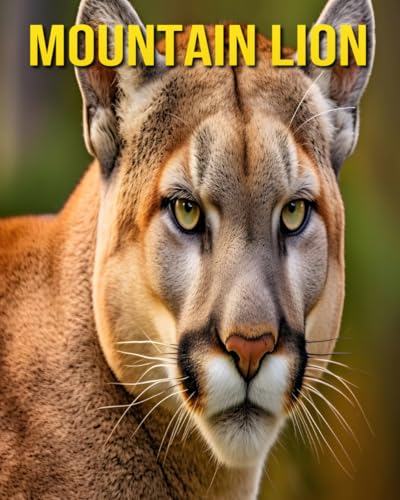 Mountain Lion: Fun and Amazing Pictures About Mountain Lion von Independently published