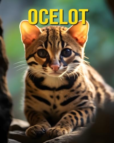 Ocelot: Fun and Amazing Pictures About Ocelot von Independently published