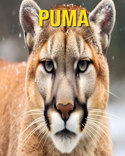 Puma: Fun and Amazing Pictures About Puma von Independently published