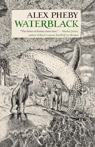 Waterblack (Cities of the Weft, 3) von Tor Books