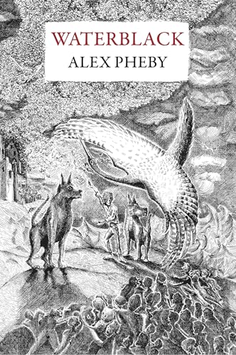 Waterblack von Galley Beggar Press