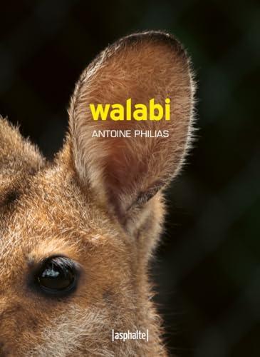 Walabi von ASPHALTE