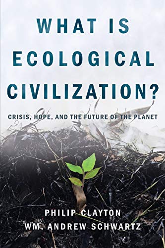 What Is Ecological Civilization?: Crisis, Hope, and the Future of the Planet von Process Century Press
