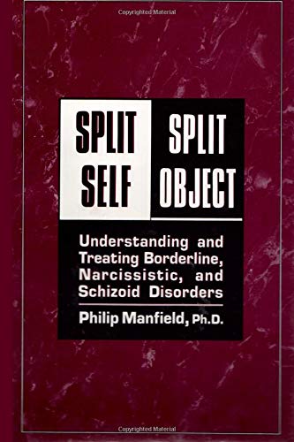 Split Self/ Split Object:: Understanding and Treating Borderline, Narcissistic, and Schizoid Disorders von CreateSpace Independent Publishing Platform