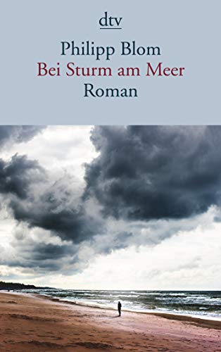 Bei Sturm am Meer: Roman (DTV, 14638, Band 14638)