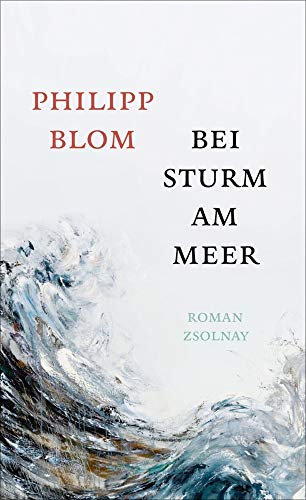 Bei Sturm am Meer: Roman von Paul Zsolnay Verlag