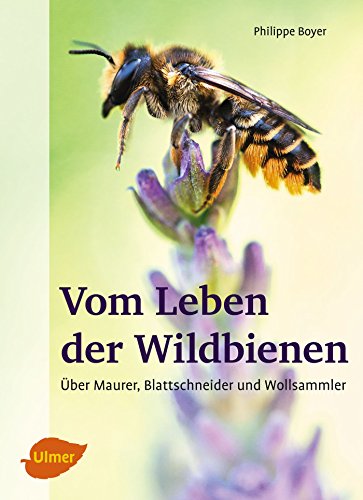 Vom Leben der Wildbienen: Über Maurer, Blattschneider und Wollsammler