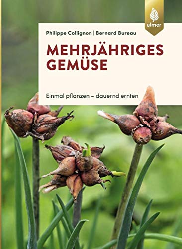 Mehrjähriges Gemüse: Einmal pflanzen, dauernd ernten