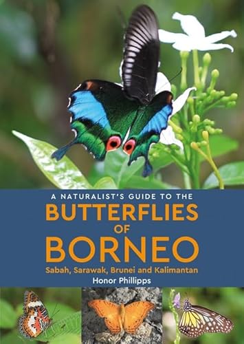 A Naturalist's Guide to the Butterflies of Borneo (Naturalists' Guides) von John Beaufoy Publishing Ltd