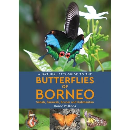 A Naturalist's Guide to the Butterflies of Borneo (Naturalists' Guides) von John Beaufoy Publishing Ltd