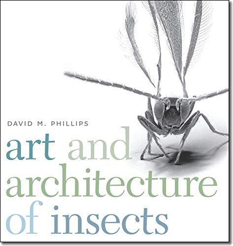 Art and Architecture of Insects