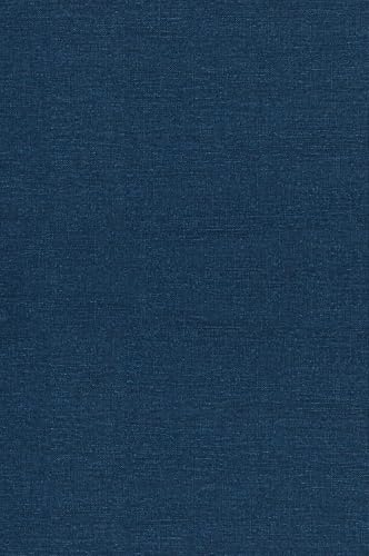 Digital Dollars: Strategies for Success in the Online Marketplace Digital Dollars: Strategies for Success in the Online Marketplace von QuantumQuill Press