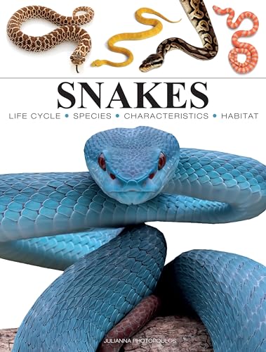 Snakes (Mini Encyclopedia) von Amber Books