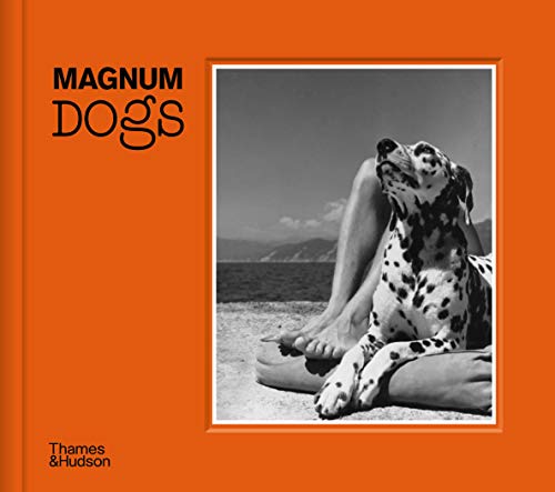 Magnum Dogs von Thames & Hudson