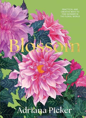 Blossom: Practical and Creative Ways to Find Wonder in the Floral World von Hardie Grant Books