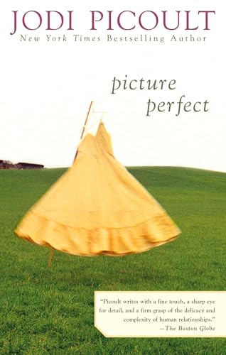 Picture Perfect Picture Perfect von BERKLEY