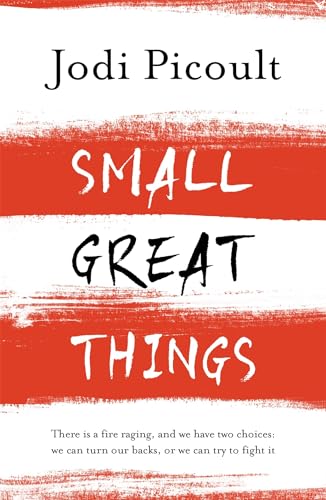 Small Great Things: The bestselling novel you won't want to miss Small Great Things: The bestselling novel you won't want to miss von Hodder Paperbacks
