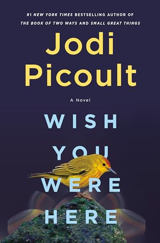Wish You Were Here: A Novel von Random House LCC US