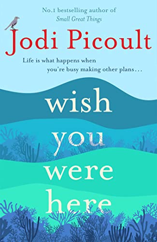 Wish You Were Here: a completely gripping, unputdownable novel from bestselling author of Mad Honey
