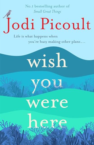 Wish You Were Here: a completely gripping, unputdownable novel from bestselling author of Mad Honey von Hodder And Stoughton Ltd.