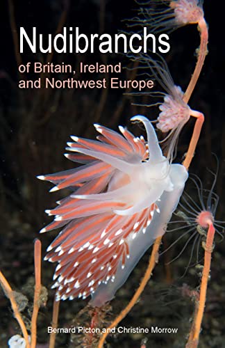 Nudibranchs of Britain, Ireland and Northwest Europe: Second Edition (Wild Nature Press)