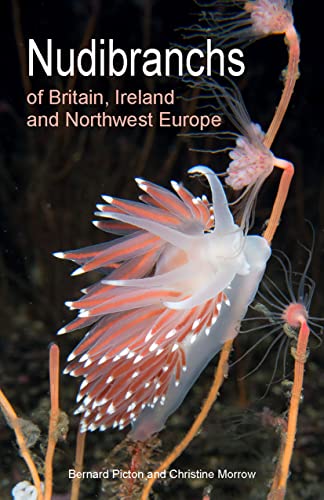 Nudibranchs of Britain, Ireland and Northwest Europe: Second Edition (Wild Nature Press) von Princeton University Press