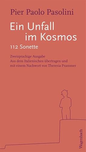 Ein Unfall im Kosmos - 112 Sonette (Quartbuch)