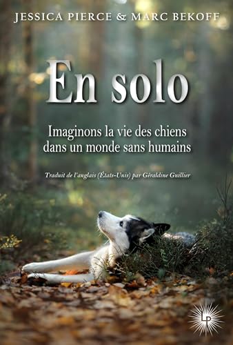 En solo: Imaginer la vie des chiens dans un monde sans humains