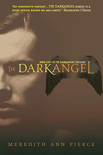 The Darkangel: Number 1 in series (The Darkangel Trilogy, Band 1) von Pierce, Meredith Ann