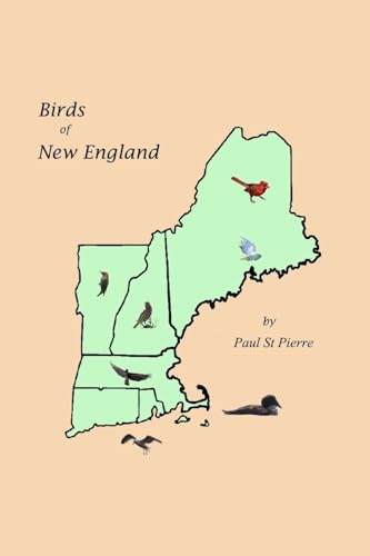 Birds of New England von Blurb