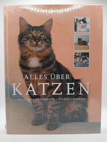 Alles über Katzen