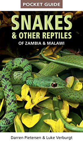Pocket Guide to Snakes & Other Reptiles of Zambia and Malawi von Struik Nature