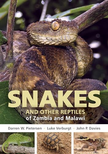 Snakes and Other Reptiles of Zambia and Malawi (Struik Nature Field Guides) von Random House Books for Young Readers