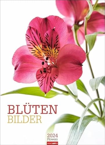 Blütenbilder Kalender 2024. Großer Jahres-Wandkalender mit stilvollen Fotos prachtvoller Blüten. Blumen-Kalender für die Wand. 49x68 cm. Hochformat