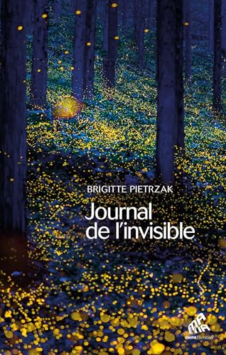 Journal de l'invisible: Exercices à l'usage de l'âme