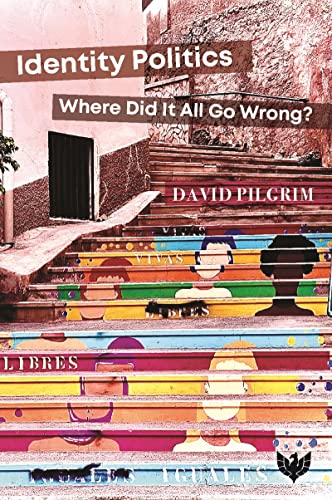 Identity Politics: Where Did It All Go Wrong? von Karnac Books