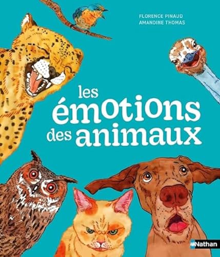 Les émotions des animaux
